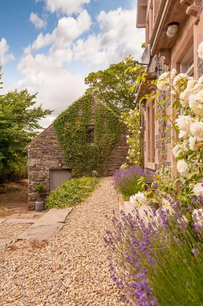 Lavender and roses along the path